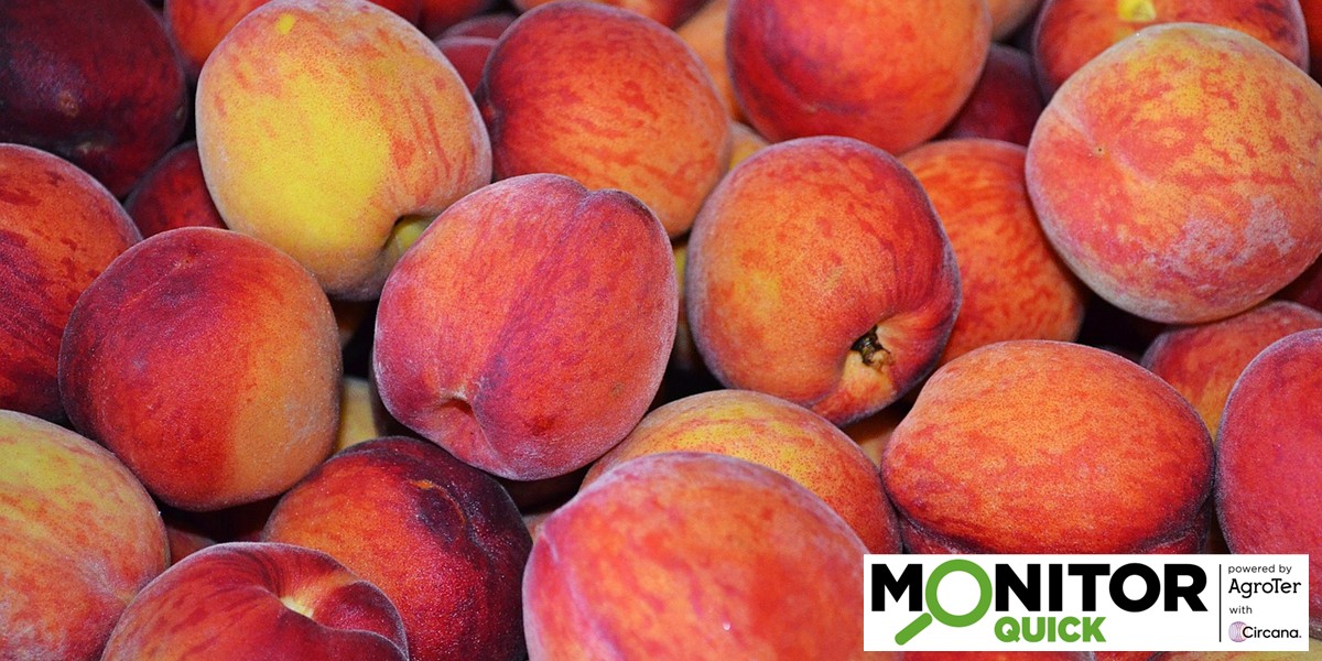 Pesche e nettarine: l’aumento dei prezzi aiuta l’incasso, ma i consumi languono